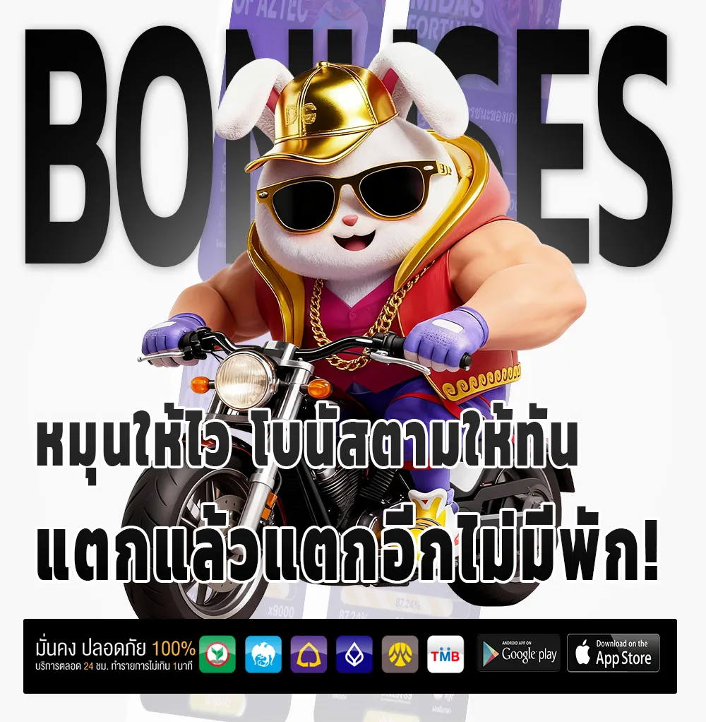 ROO 99 ครบวงจร